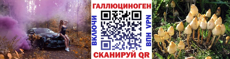 Галлюциногенные грибы прущие грибы  МЕГА зеркало  Стрежевой 