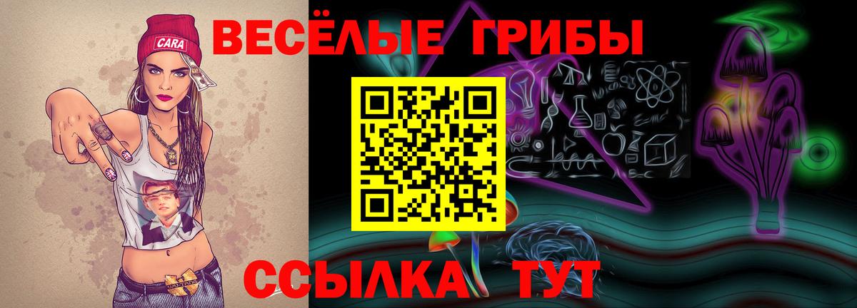 Стрежевой  Псилоцибиновые грибы Psilocybine cubensis  Галлюциногенные грибы Psilocybe  Вход с VPN 